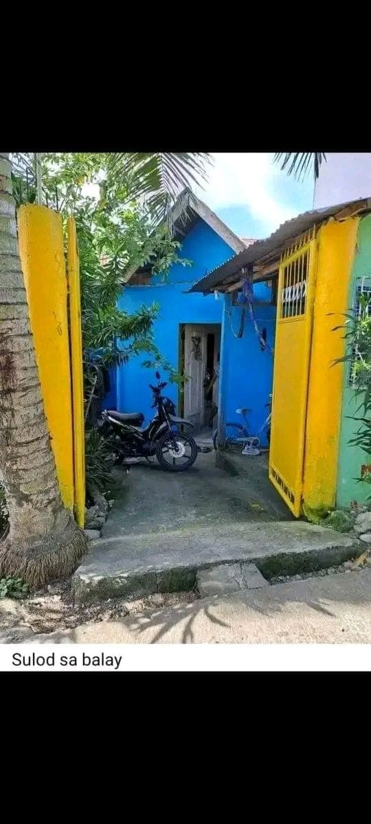 House for rent - photo 10