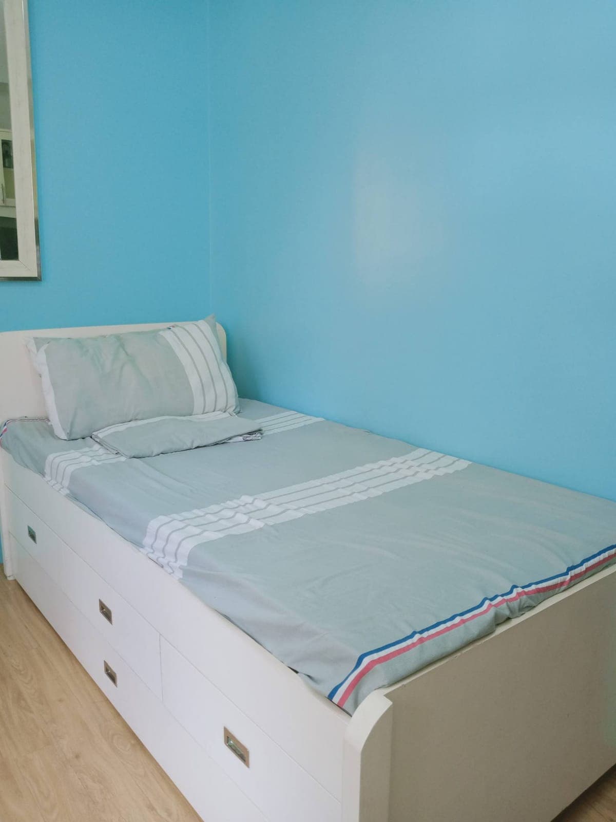 ‼️MEVISA GARDEN ‼️ - photo 4