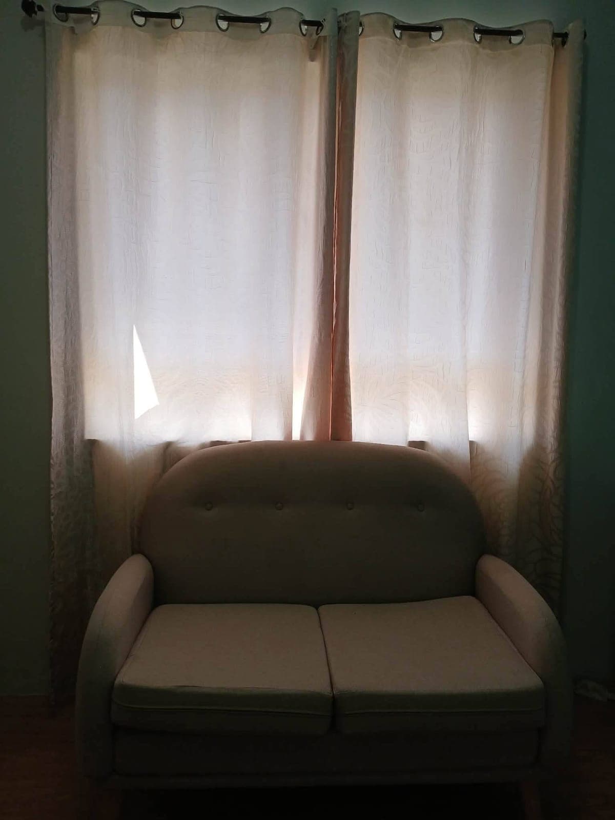 ‼️MEVISA GARDEN ‼️ - photo 6