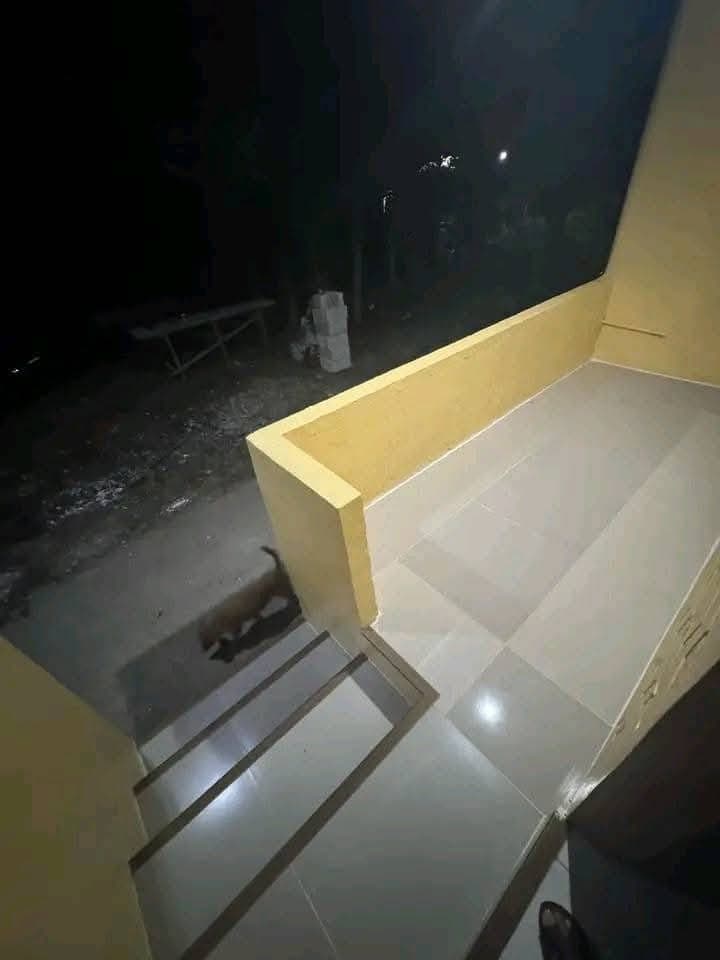 🍀Semi Furnish House for Rent at Sabang, Danao City - photo 4