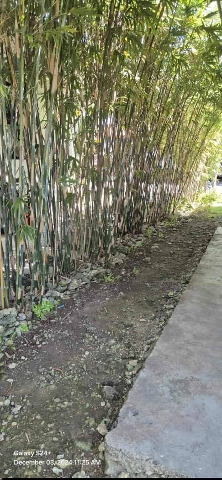 For Rent Fully Furnished House and Lot(corner lot) available for viewing - photo 12