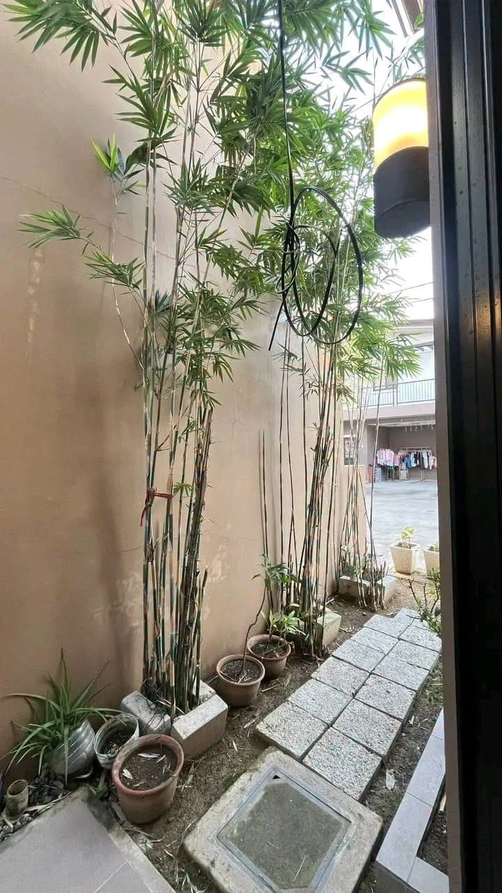 SEMI-FURNISHED HOUSE FOR RENT! - photo 5