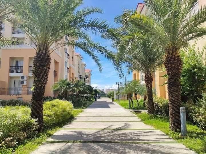 ✨ 2-Bedroom Condo for Long-Term Rent in Cebu! ✨ - photo 1