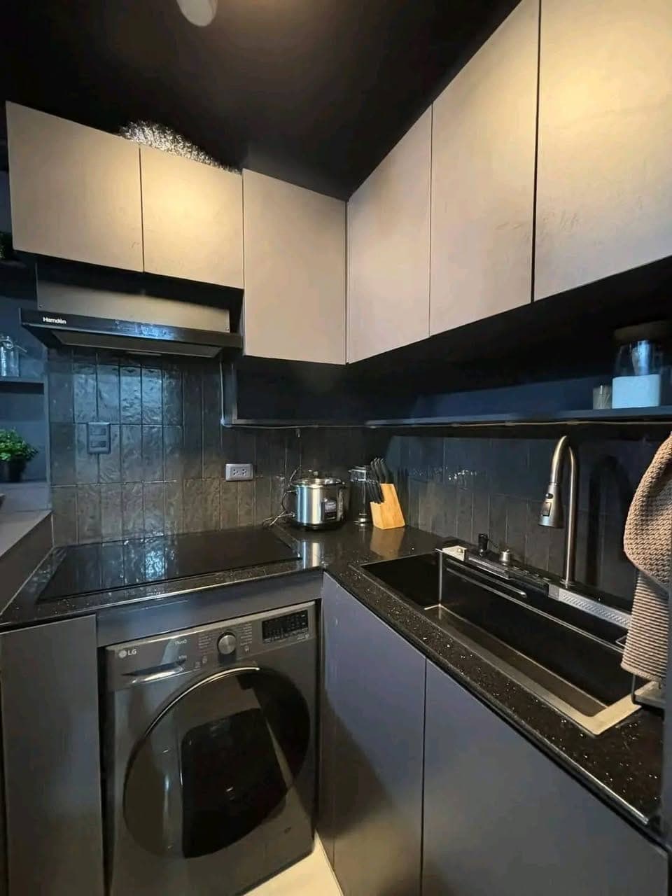 PTPA ‼️ - photo 5