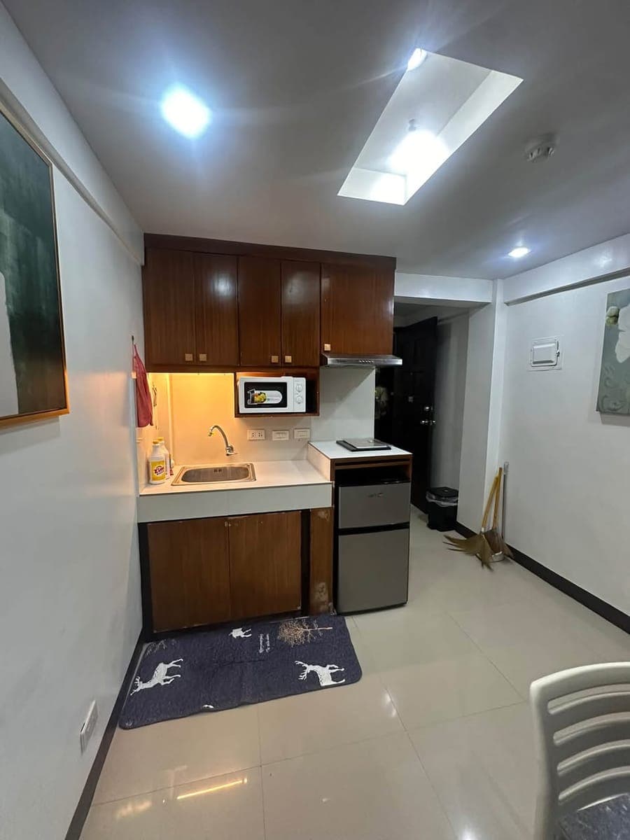 FAMILIA APARTMENT FOR RENT AT SPRINGSIDE - photo 2