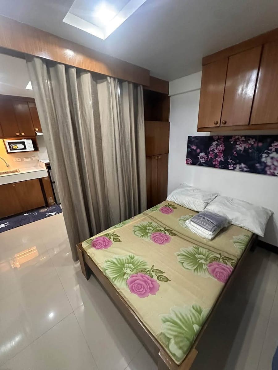 FAMILIA APARTMENT FOR RENT AT SPRINGSIDE - photo 4