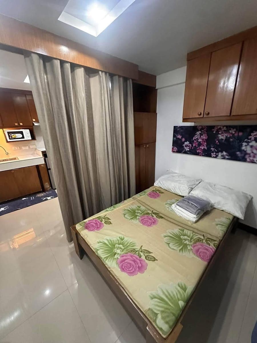 FAMILIA APARTMENT FOR RENT AT SPRINGSIDE - photo 4
