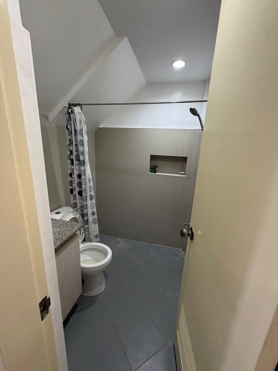 House for Rent - photo 2