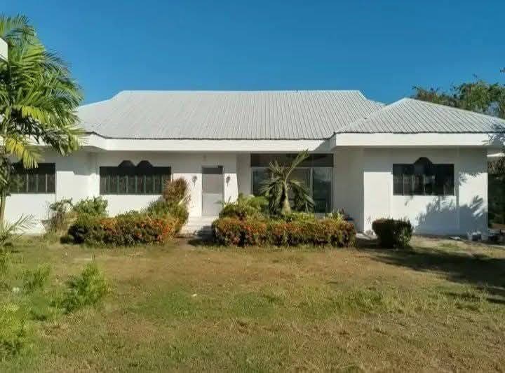 Bungalow house 🏠 RENT/SALE - photo 2