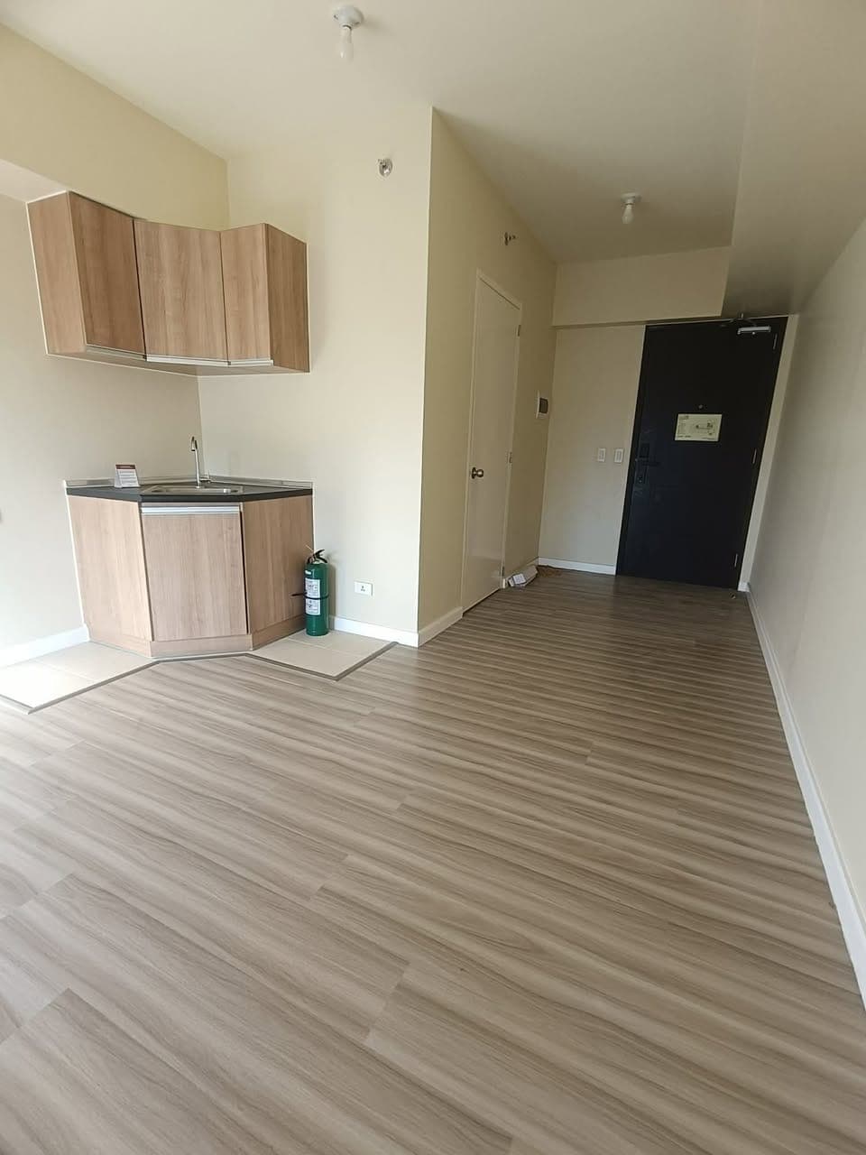 FOR RENT - photo 5