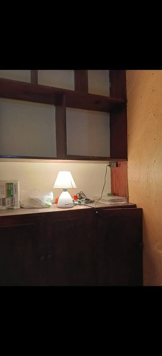 ✨ LAST FEW ROOMS & BEDSPACES AVAILABLE! ✨ - photo 4