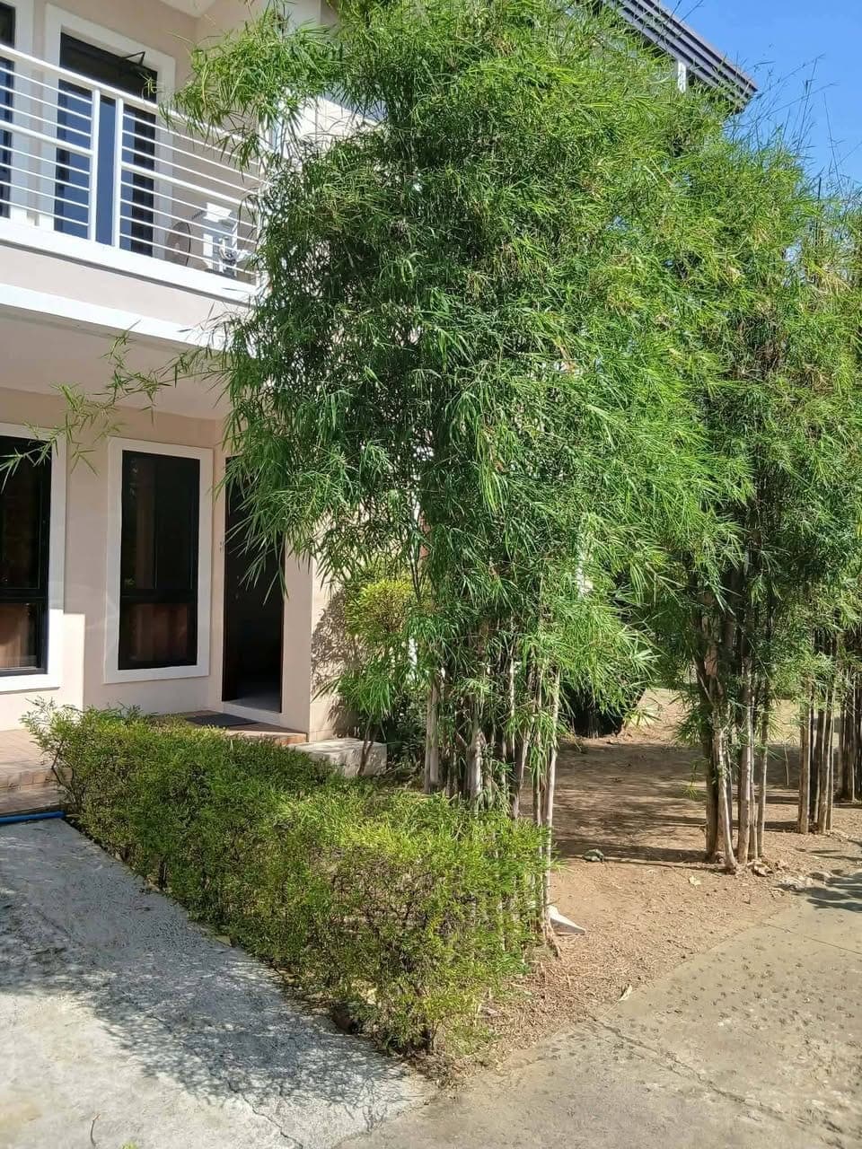 FOR RENT ‼️ - photo 3