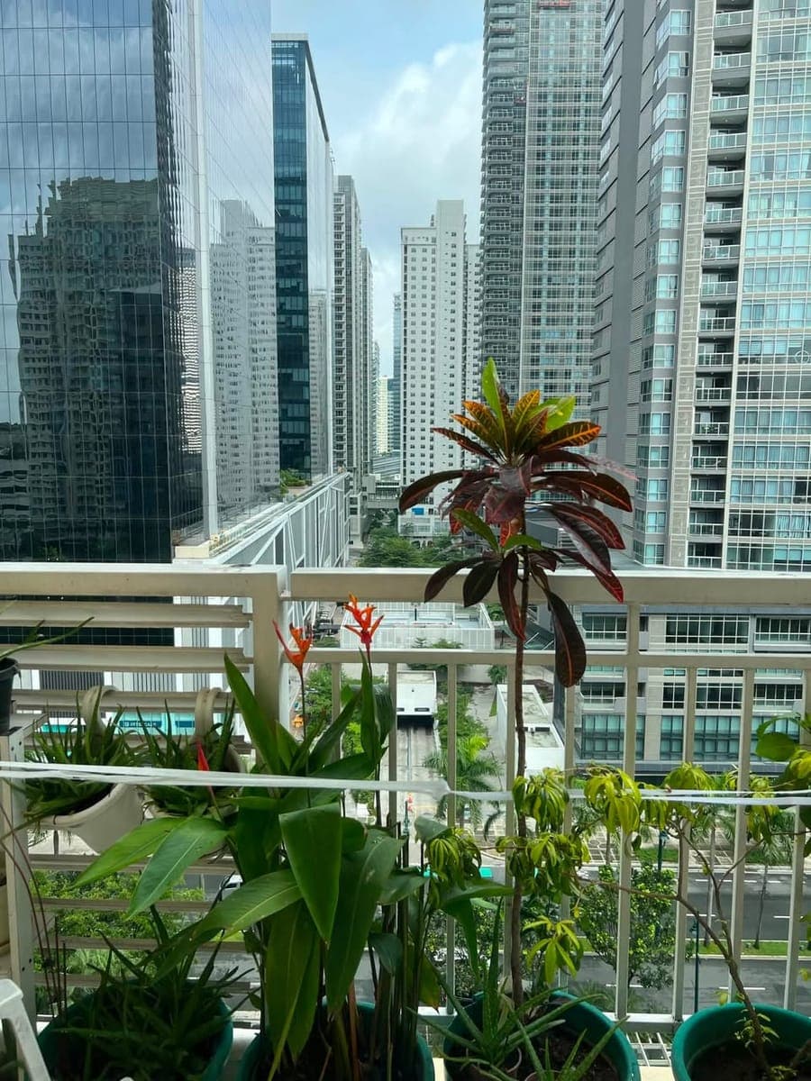 For Lease - photo 2