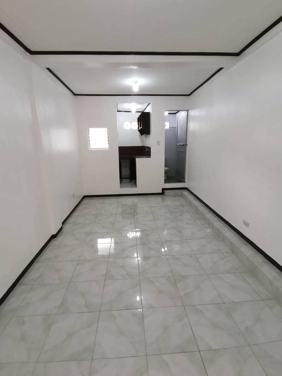 Big Studio type for rent - photo 3