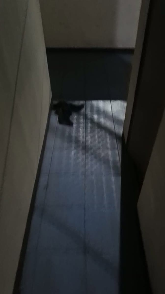 AVAILABLE PO ROOM FOR RENT - photo 1