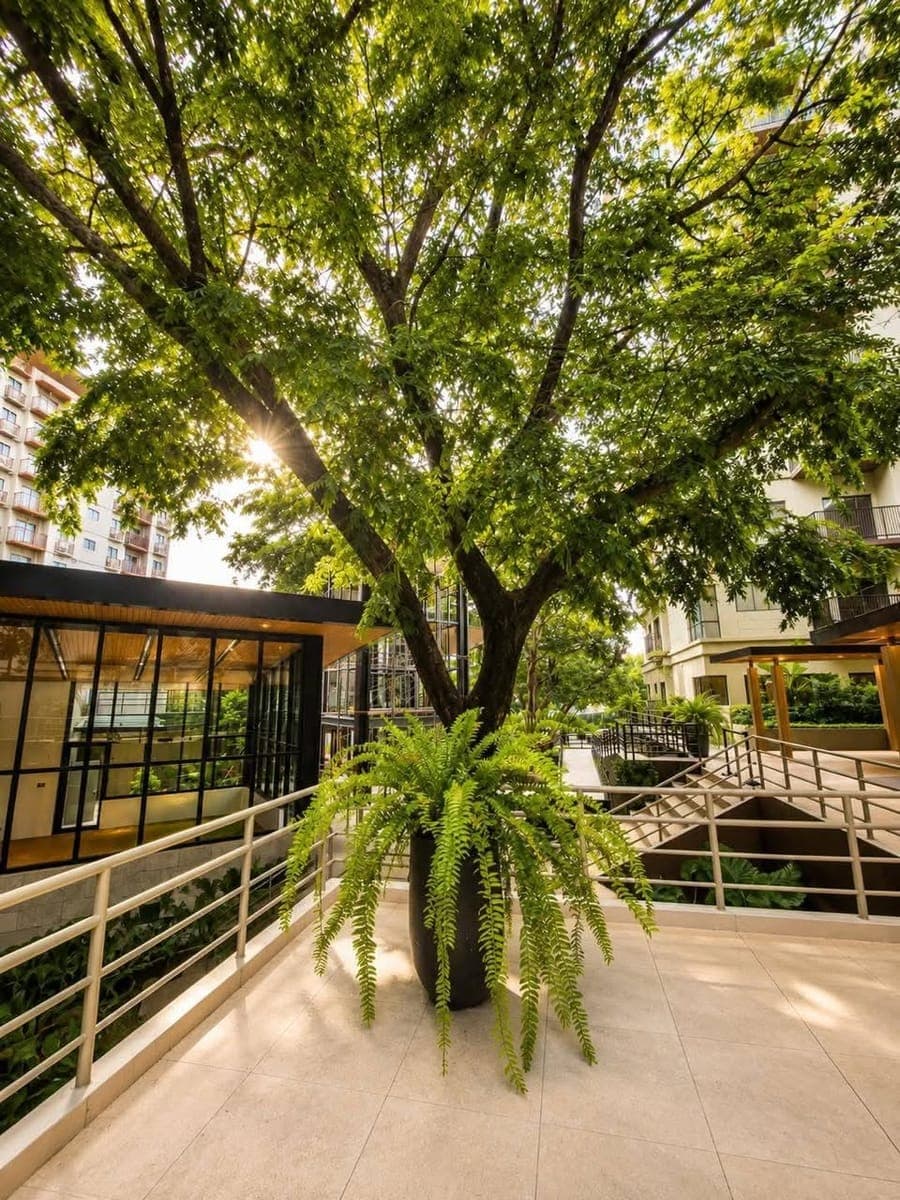 For Rent! - photo 3