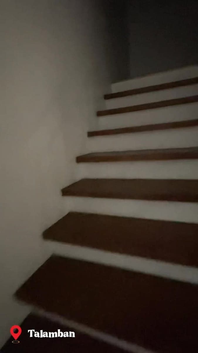 TALAMBAN TREASURE: 3-Bedroom Home for Rent/Sale! 🏠 - photo 3