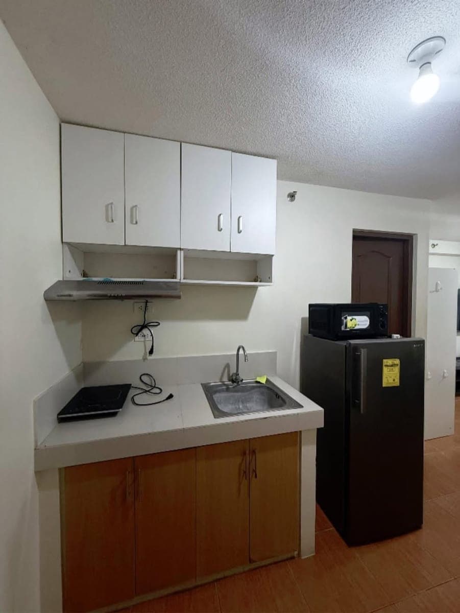 FOR RENT IN ONE OASIS MABOLO - photo 4