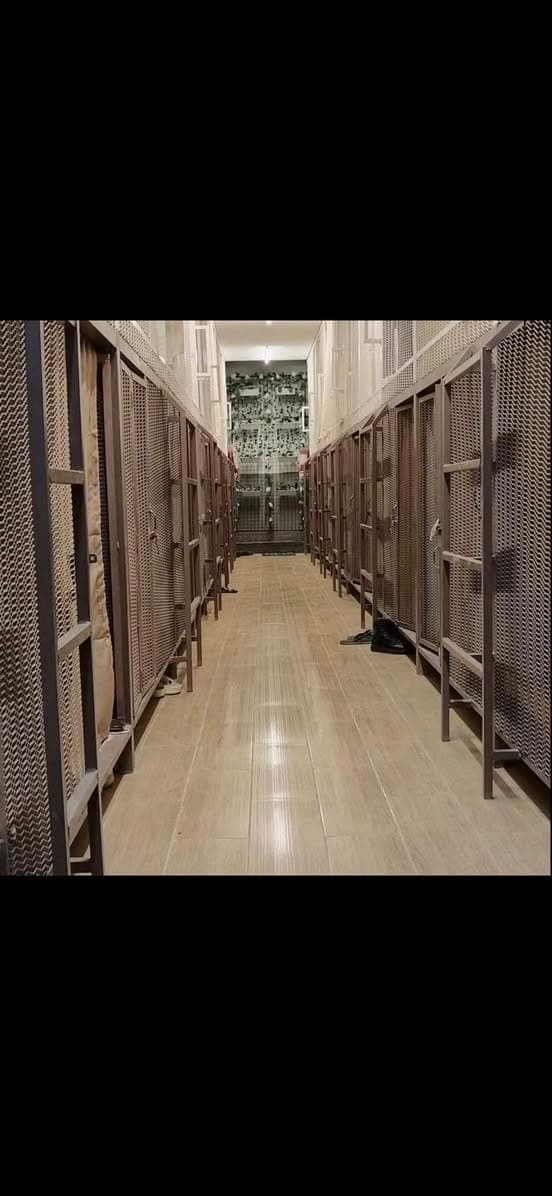 Bedspace but with privacy (capsule type) - photo 2