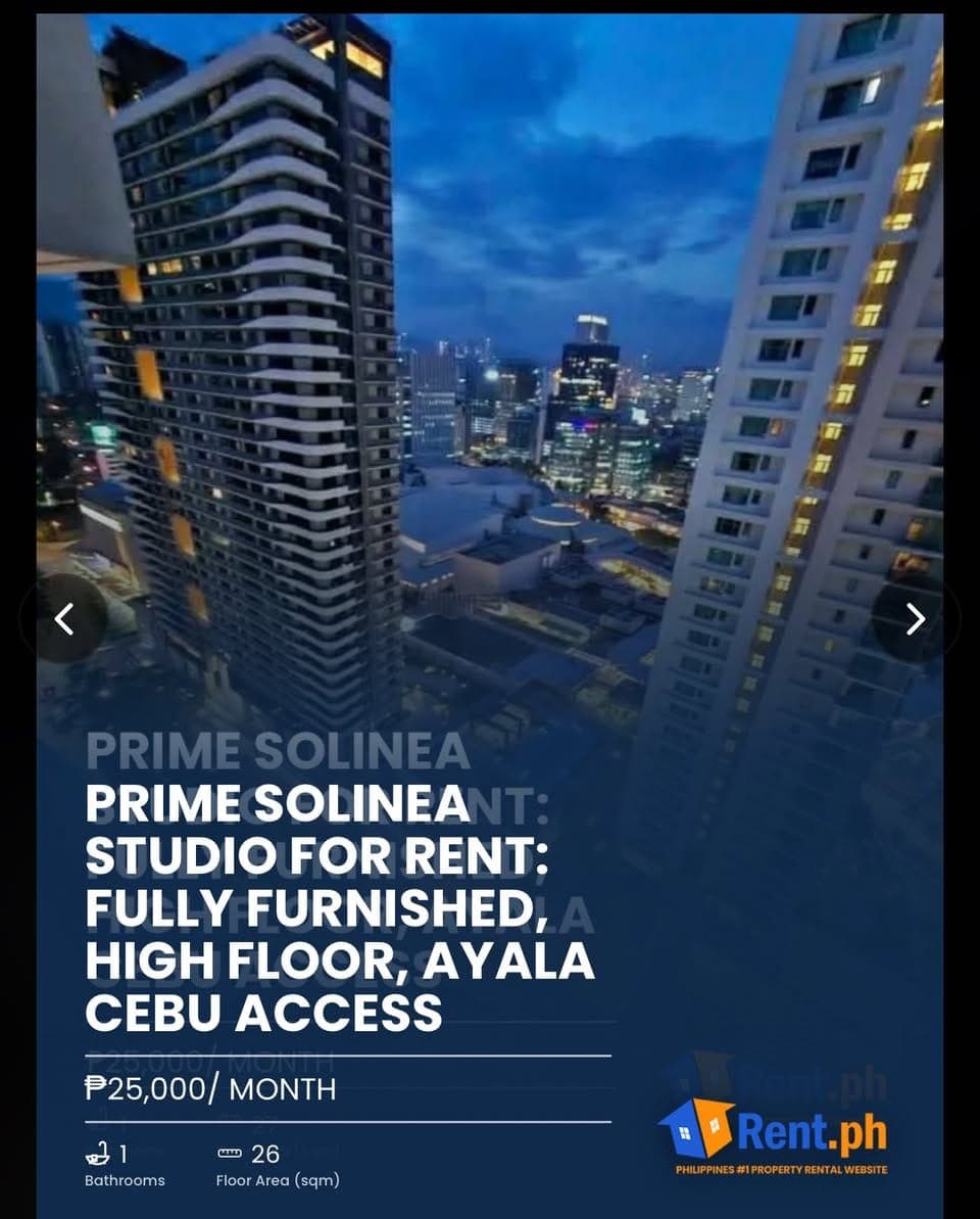 Solinea Tower 2 for RENT - photo 3