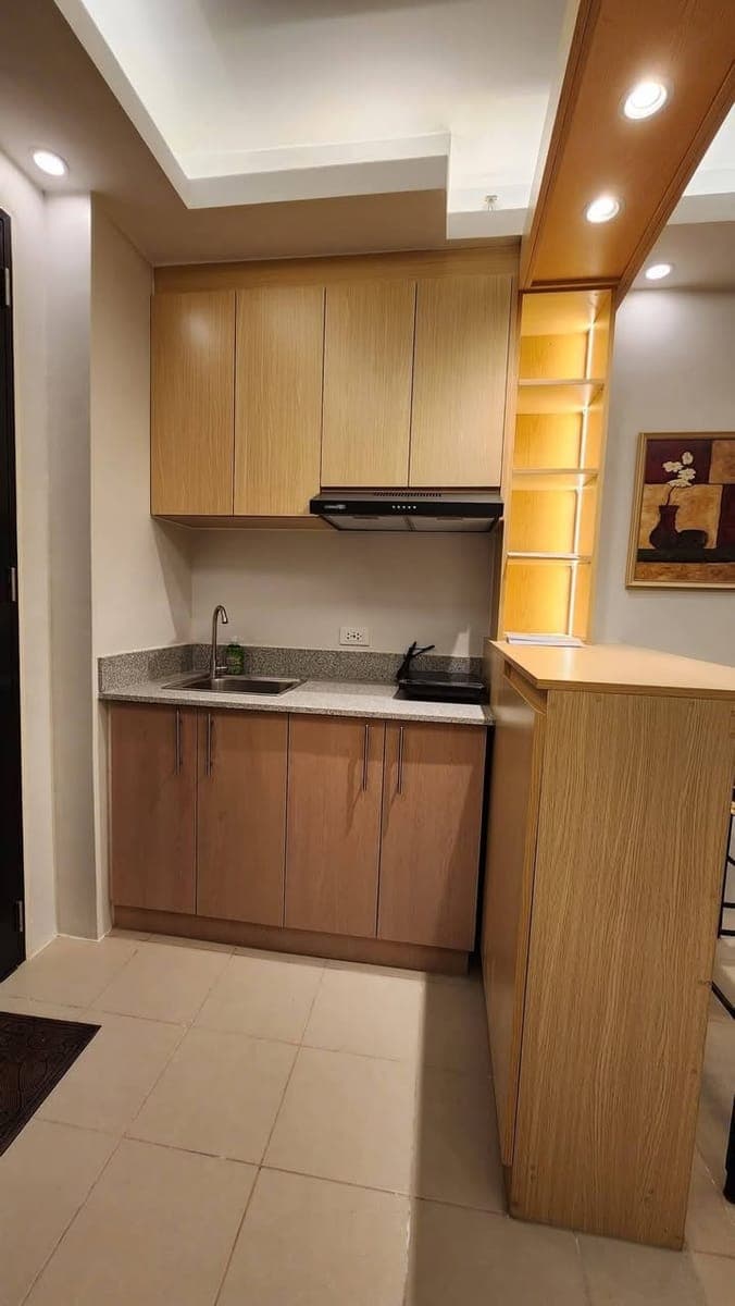 Brand New Fully Furnished Studio Unit for Rent at Plumera Building O - photo 5