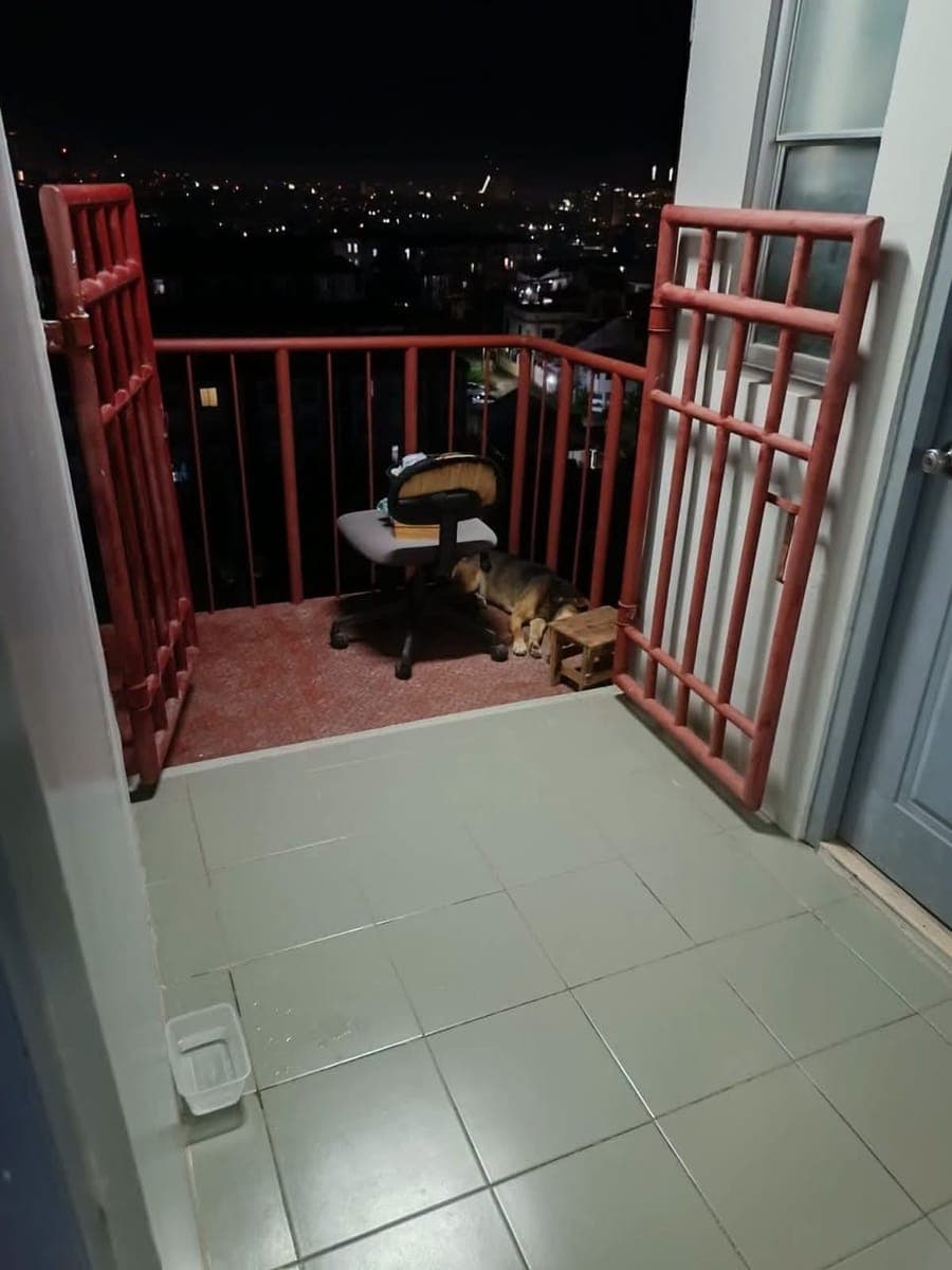 For rent❗️👍 - photo 3
