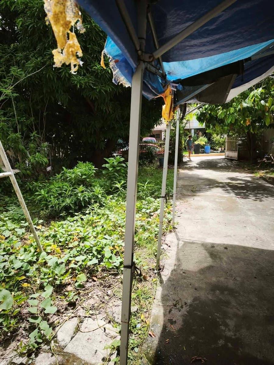 House For Rent - photo 3
