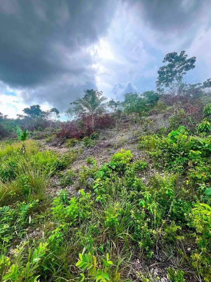 300k only naa nakay 250sqm - photo 3