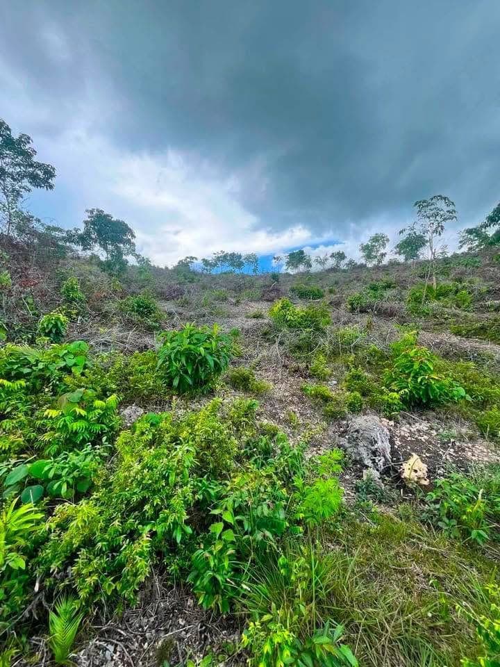 300k only naa nakay 250sqm - photo 4