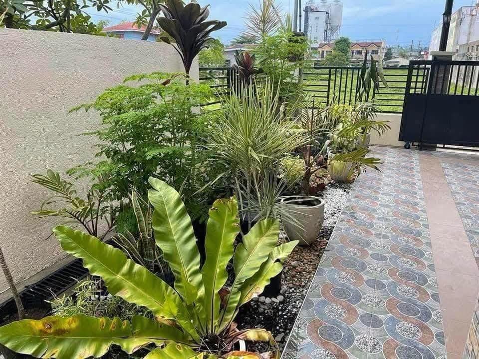 Spacious Bungalow House for Rent  in Tayud Liloan, Cebu! - photo 4