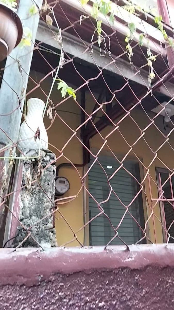 ‼️2 Storey Apartment for Rent‼️ - photo 1