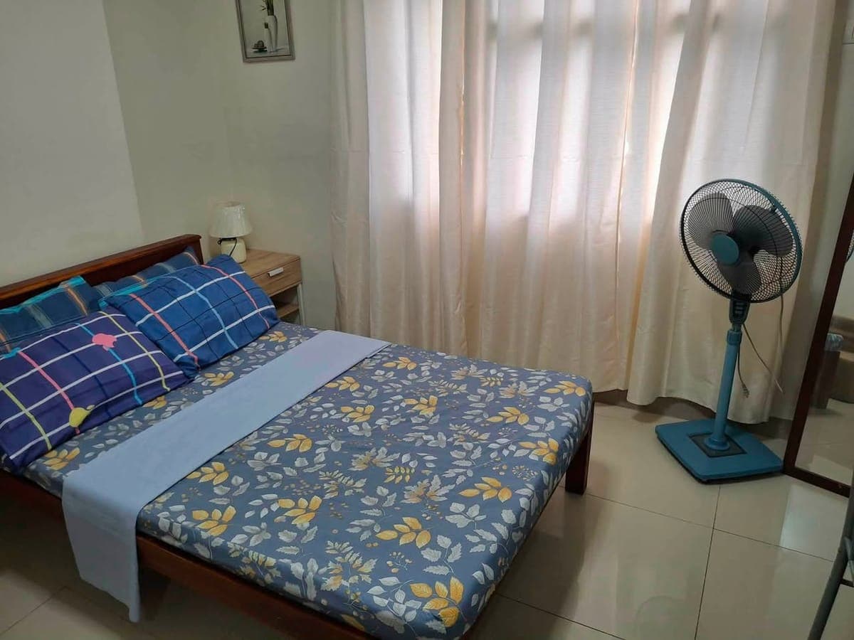 FOR RENT: - photo 3