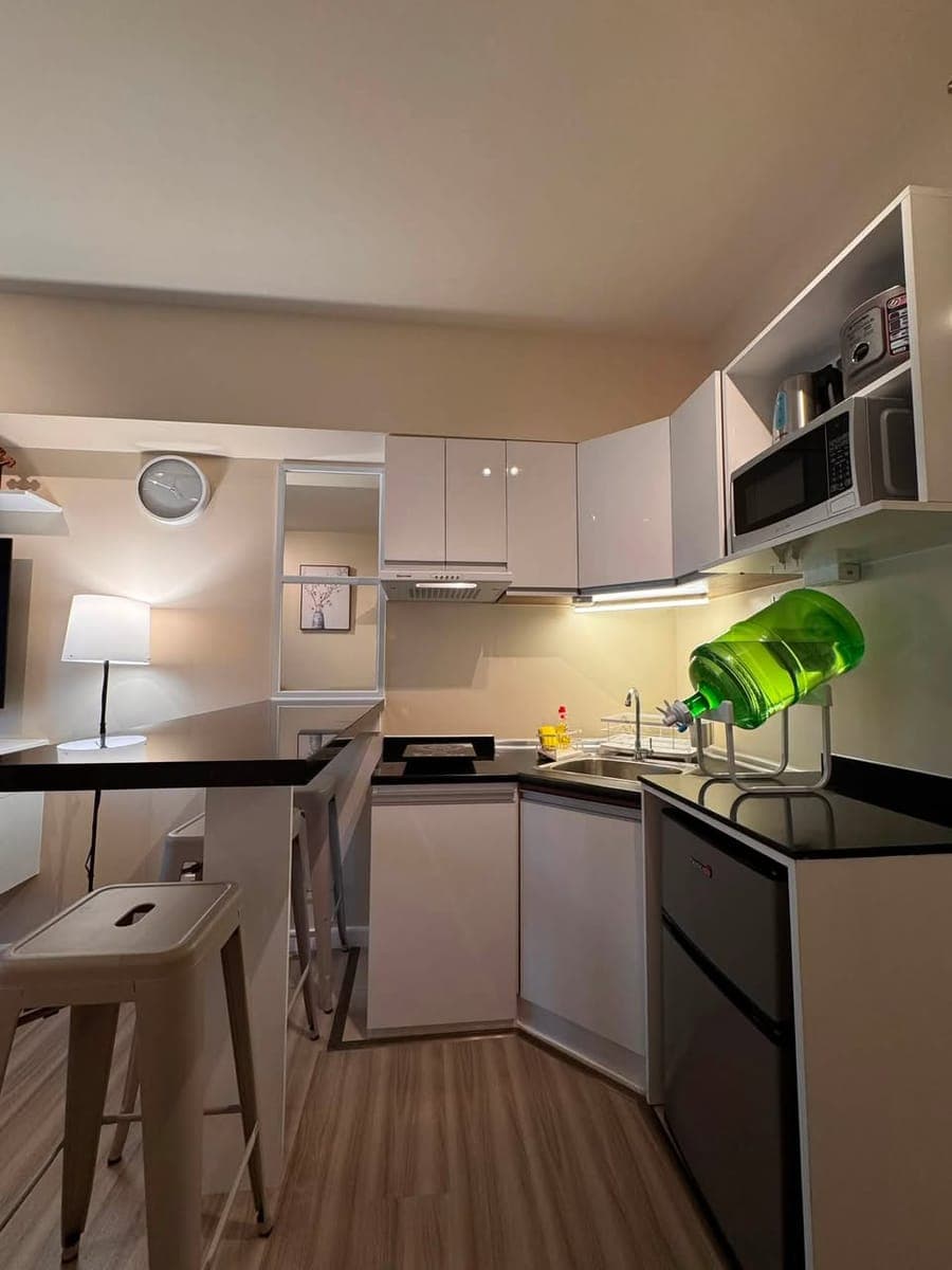 ✨ Brand New Studio Condo for Rent - photo 3
