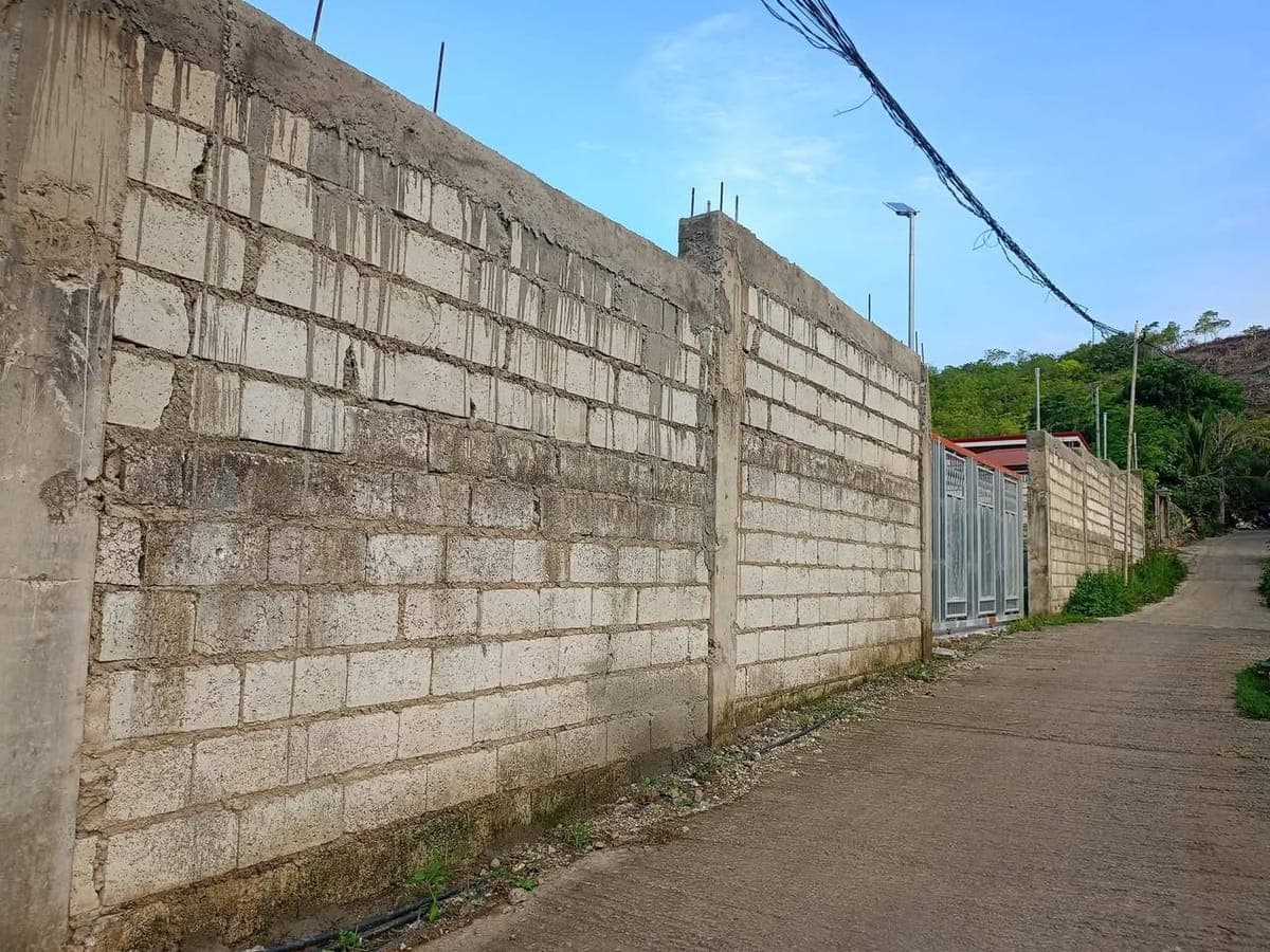 HOUSE FOR RENT in  Danao City Cebu ! - photo 2
