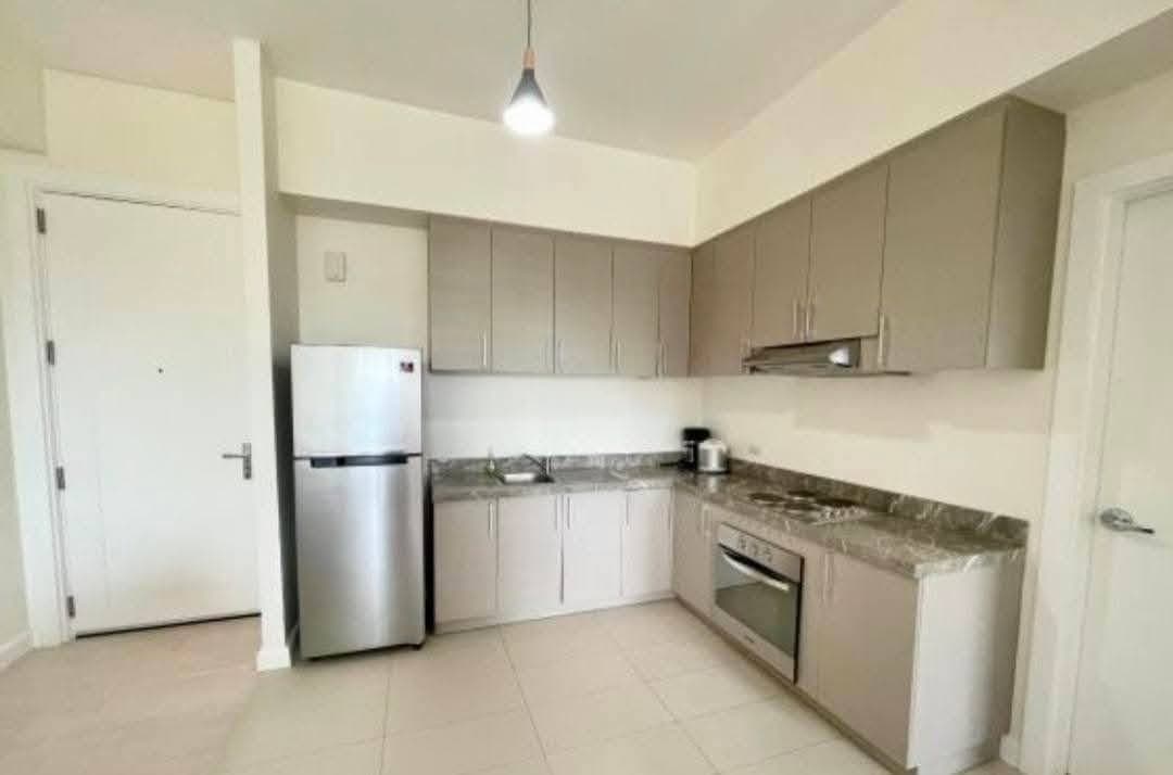 1BR with Parking for RENT in 32Sanson by Rockwell Cebu - photo 2