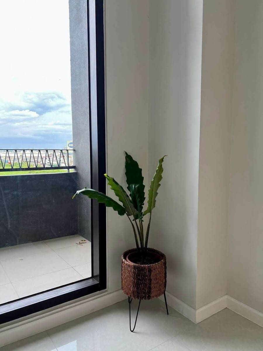 🏙️ MODERN FULLY FURNISHED LOFT-TYPE CONDOMINIUM WITH PARKING FOR RENT 🏙️ - photo 1