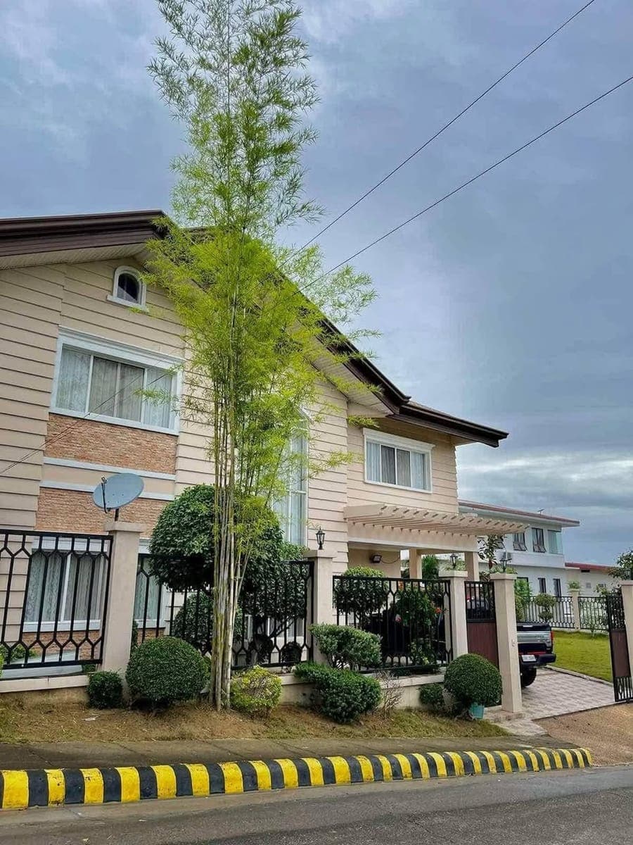 FOR RENT: 3 Bedroom House and Lot in Talisay❗️ - photo 3