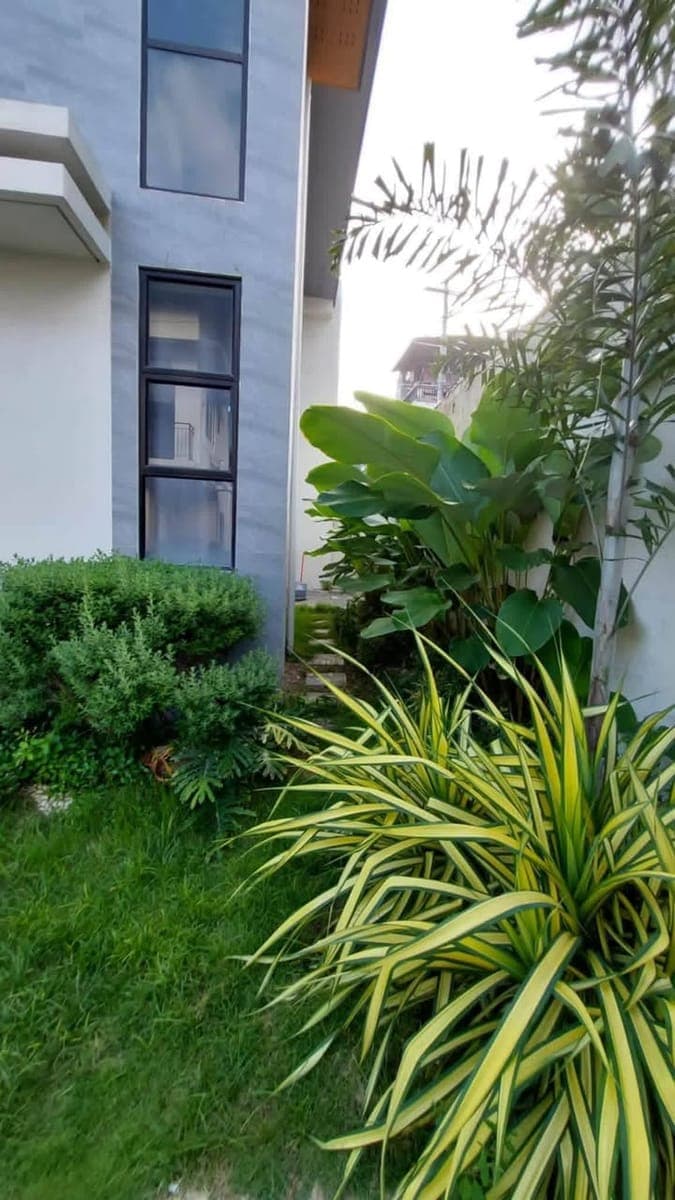 Direct Listing:  🏡 CEBU HOUSE FOR RENT/SALE | TISA, LABANGON 🔑 - photo 2