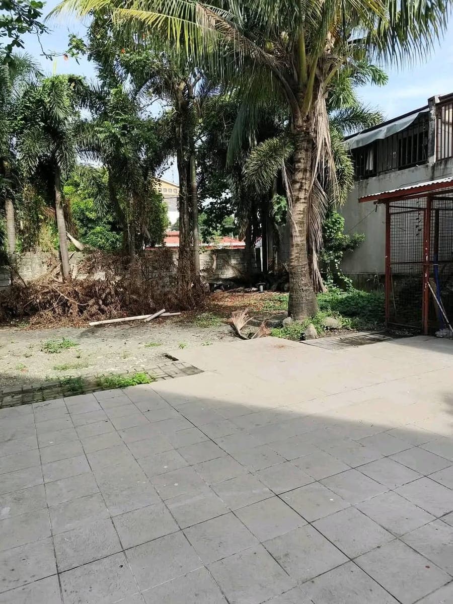 FOR RENT !! 350 Sqm. - photo 2