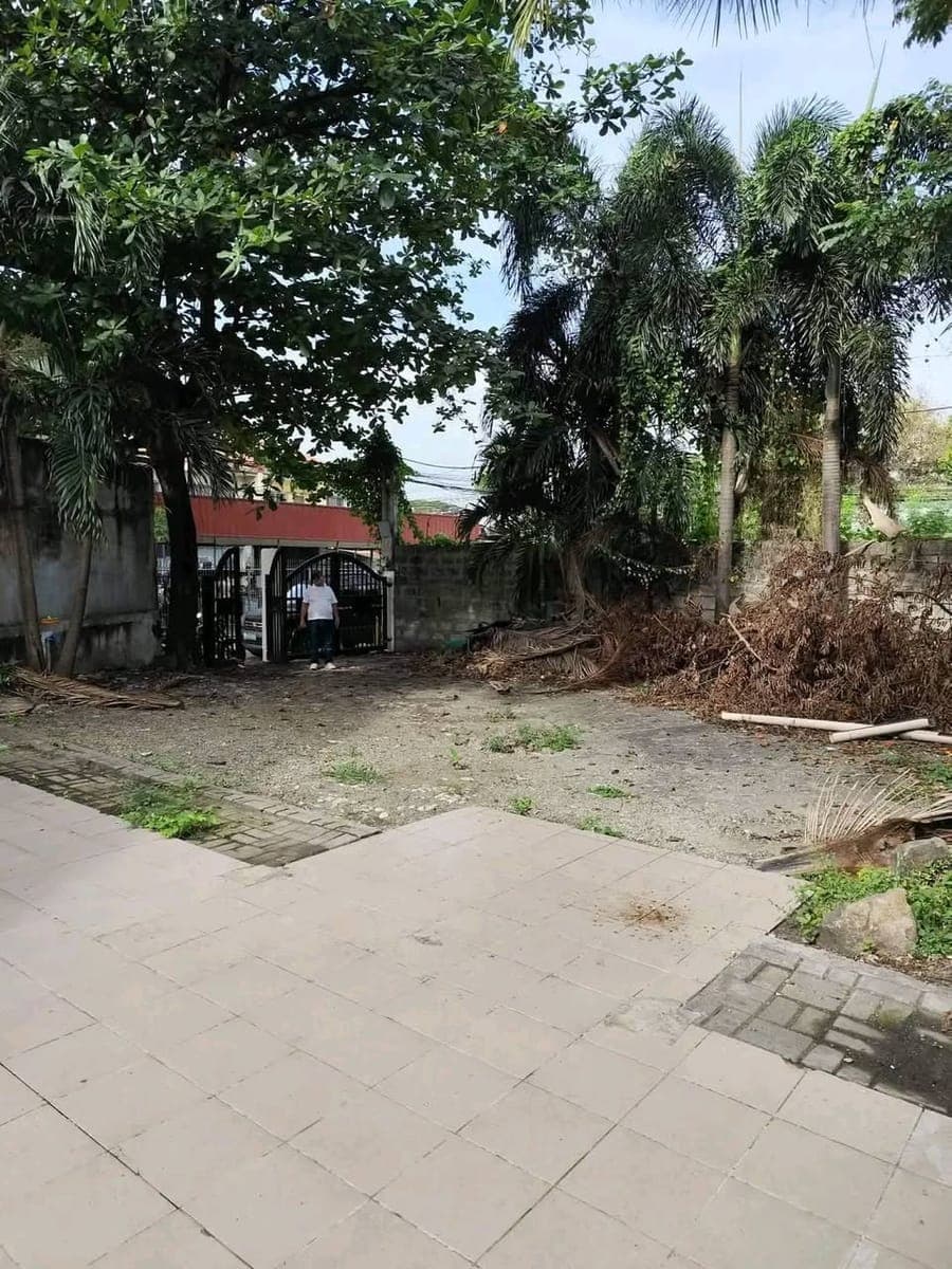 FOR RENT !! 350 Sqm. - photo 3