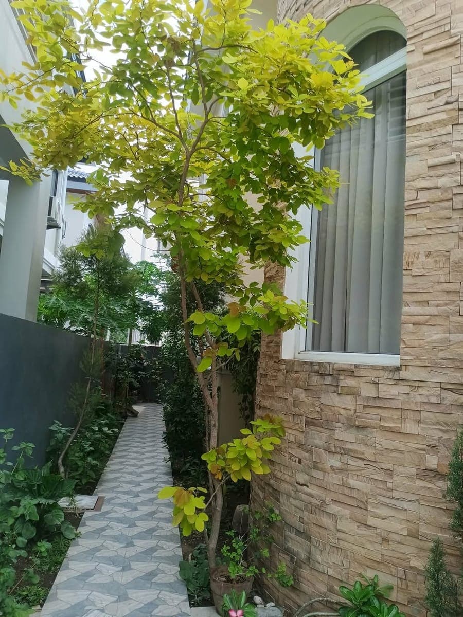 For Rent House and Lot-Fully Furnished - photo 5