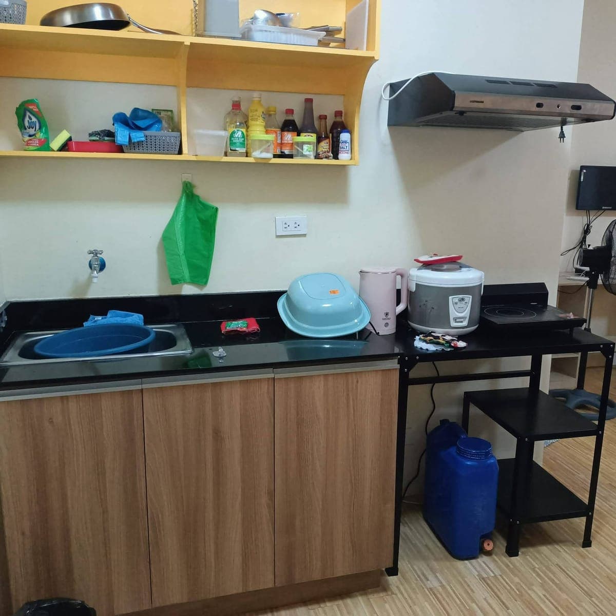 Bria flats Condo Unit for Rent - photo 4