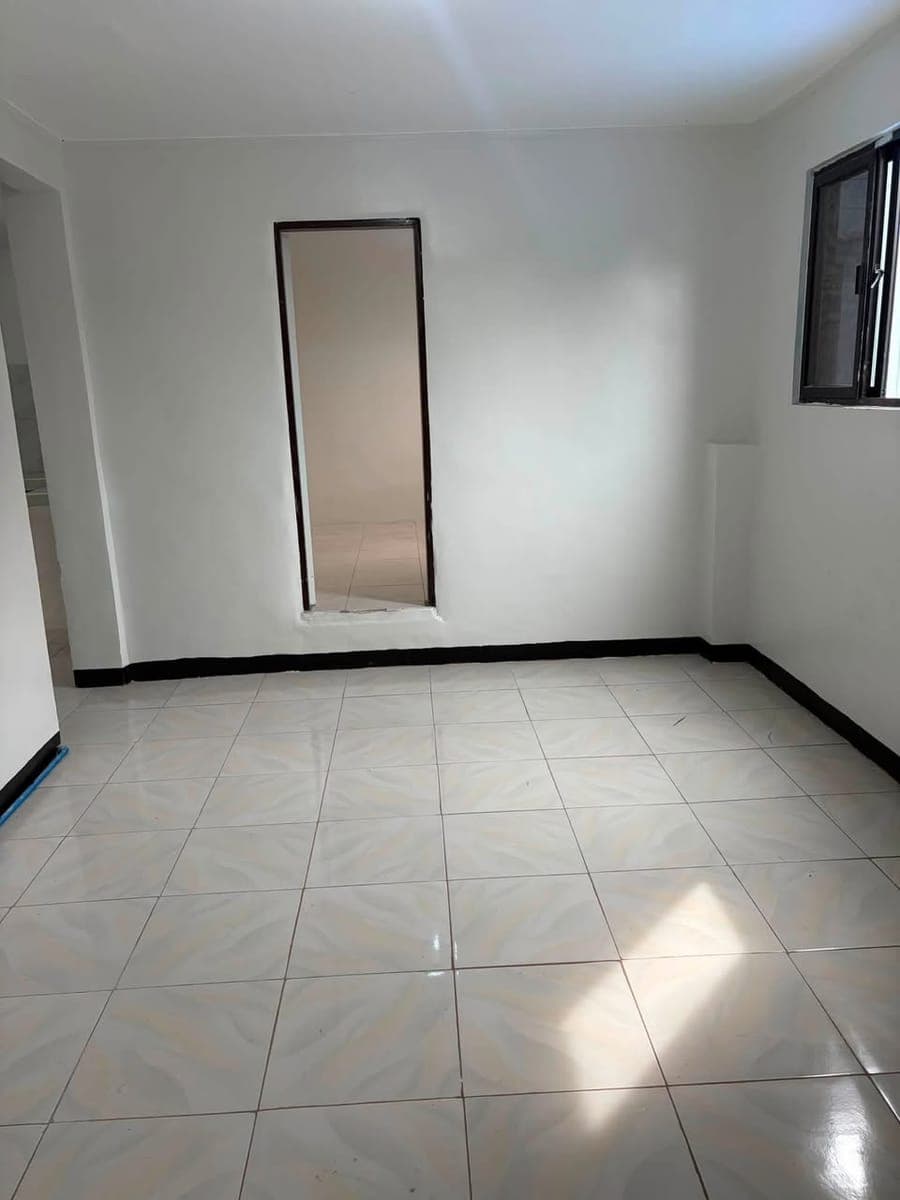 Newly Renovated Apratment Unit - photo 5