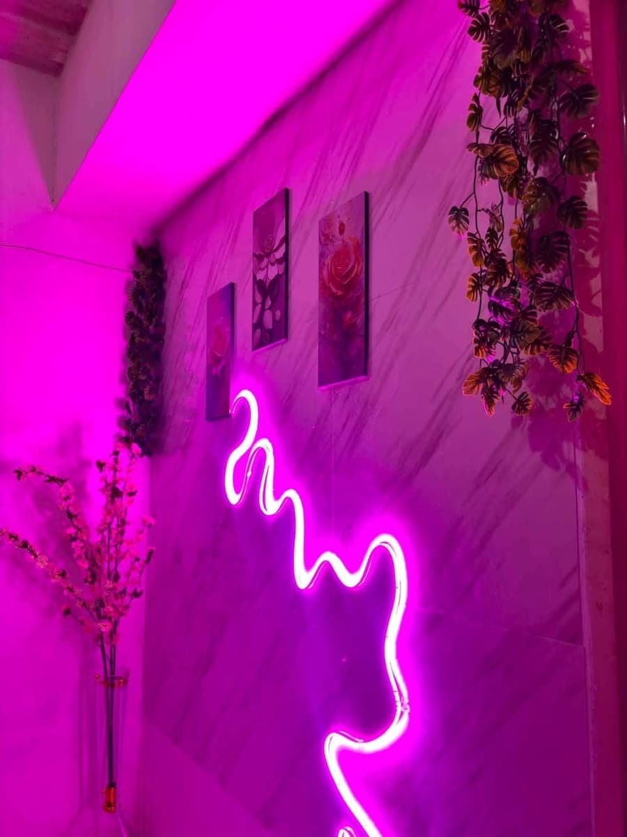 🏡 FEMALE CONDO SHARING – MOVE IN TODAY! 🌸 - photo 3