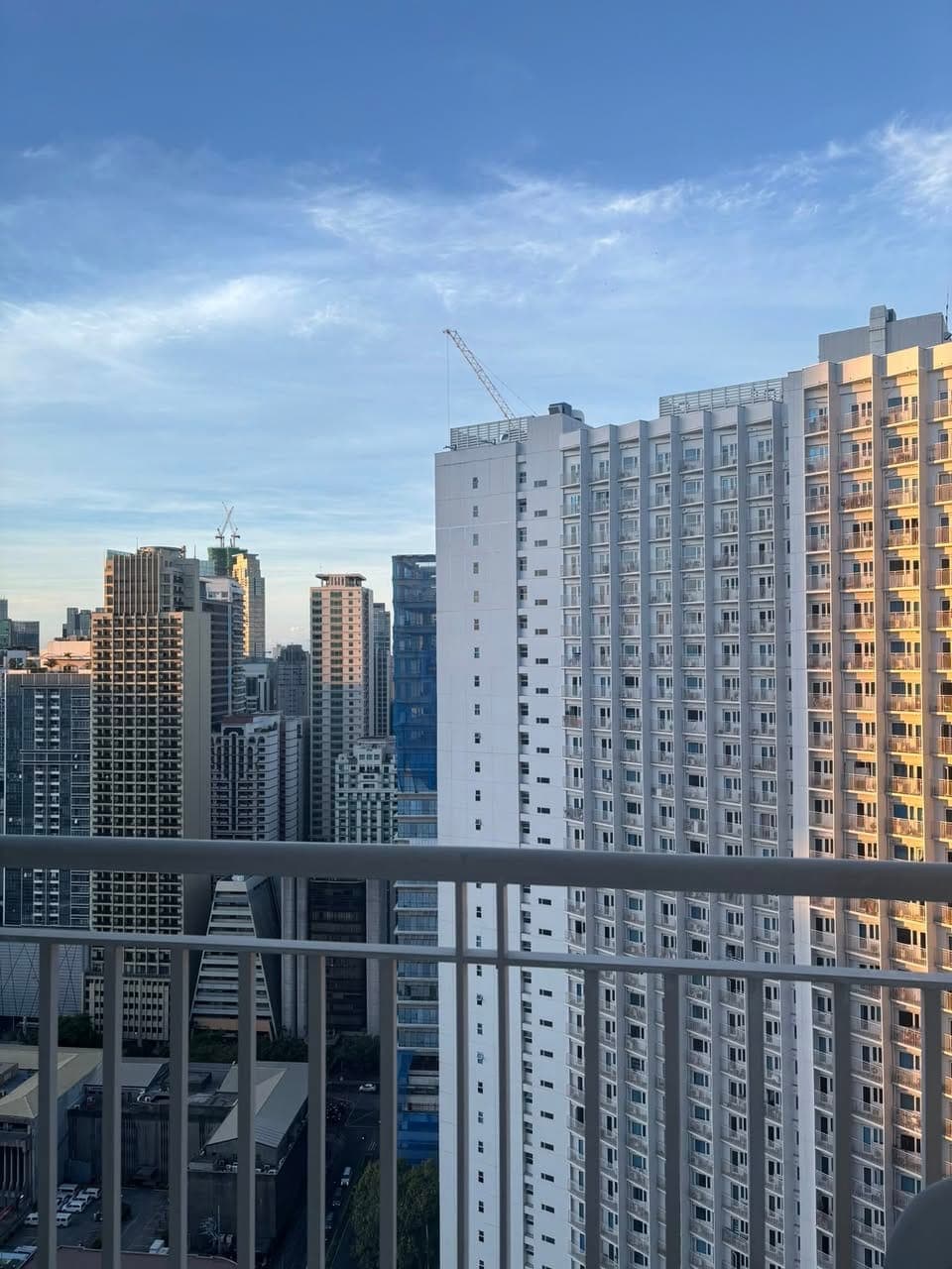 Looking for 1 female replacement. - photo 1