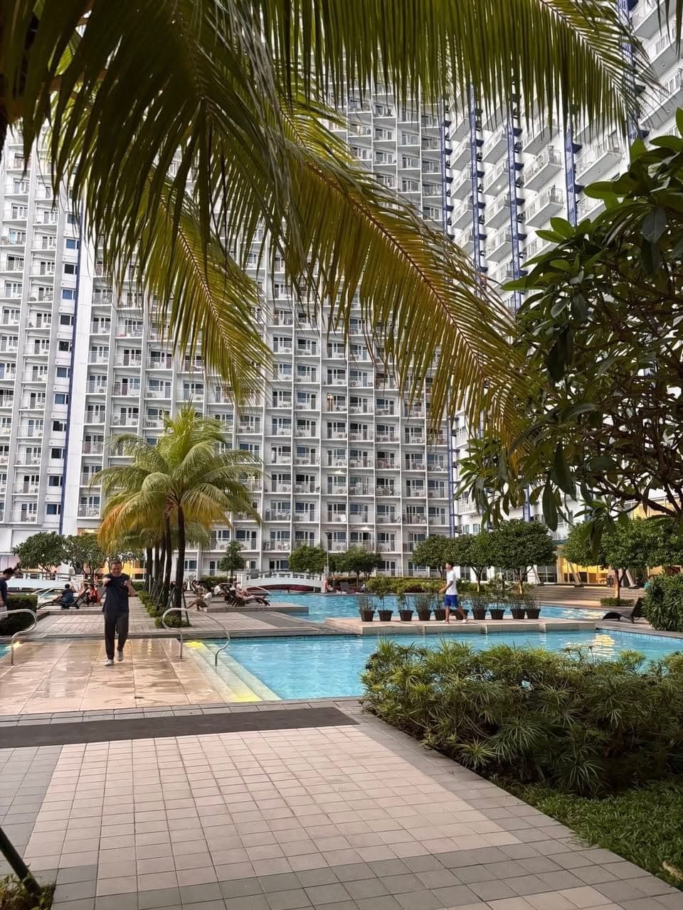 Looking for 1 female replacement. - photo 2