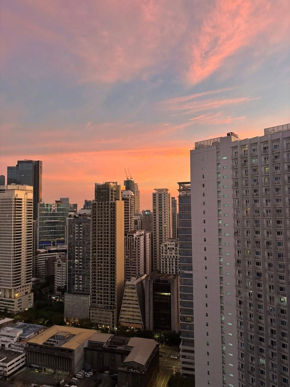 Looking for 1 female replacement. - photo 3