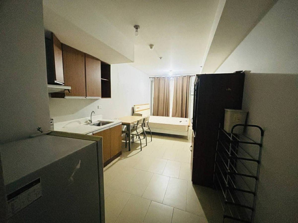 ANTEL SPA RESIDENCES and SERENITY SUITES - photo 2