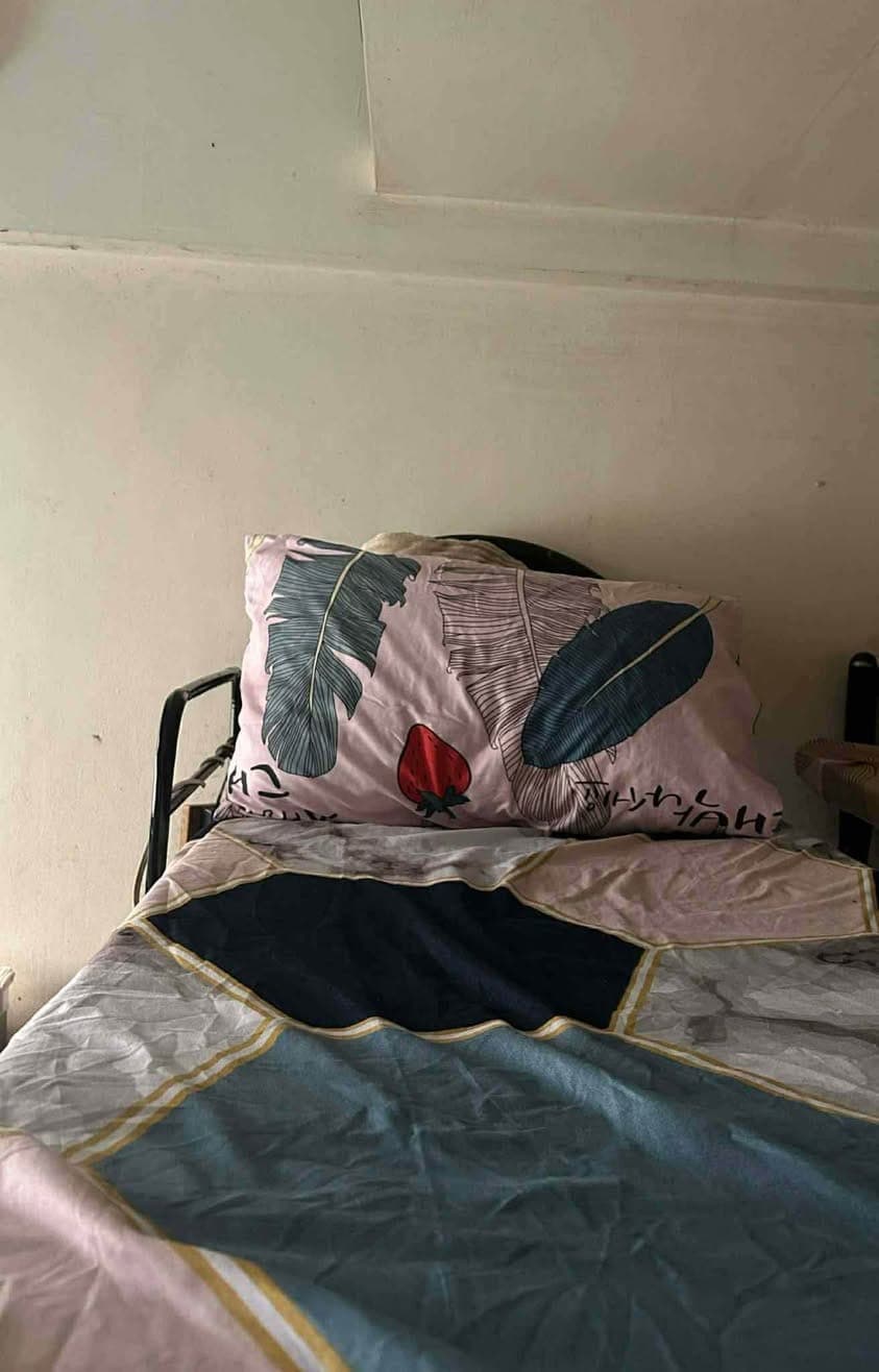 Looking for: 1 Female replacement - photo 3