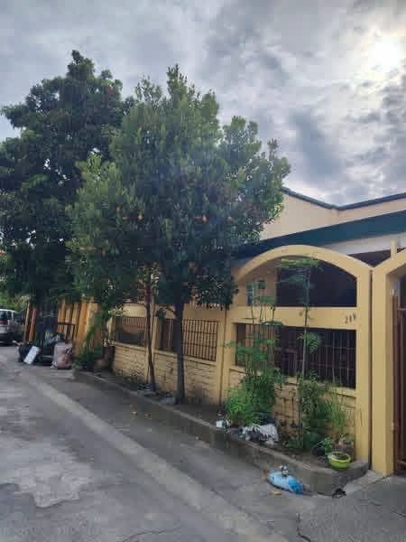 HOUSE FOR RENT IN CASIMIRO VILLAGE - photo 1